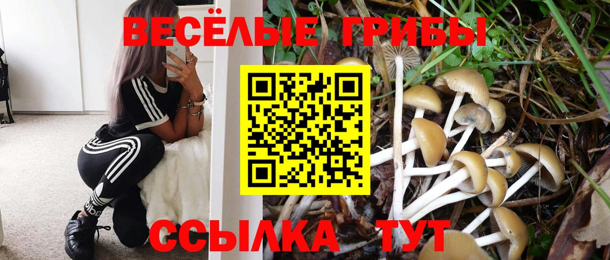 Кимовск  Галлюциногенные грибы MAGIC MUSHROOMS  Вход с VPN 